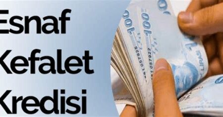 Esnafa Devlet Kredisi Başvuru Şartları – 2023 Yılı Esnaf Kredileri