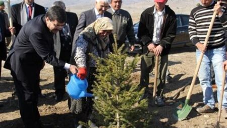 Türkiye'de Yeni Çevre Koruma Projeleri: Ağaçlandırma